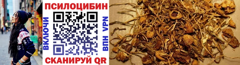 маркетплейс какой сайт  OMG как войти  Тотьма  Псилоцибиновые грибы Psilocybine cubensis 