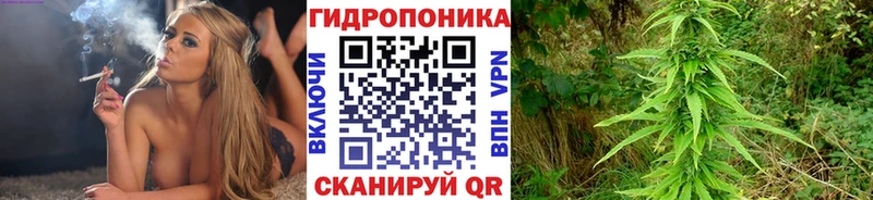 Марихуана индика  ссылка на мегу вход  Тотьма  закладка 